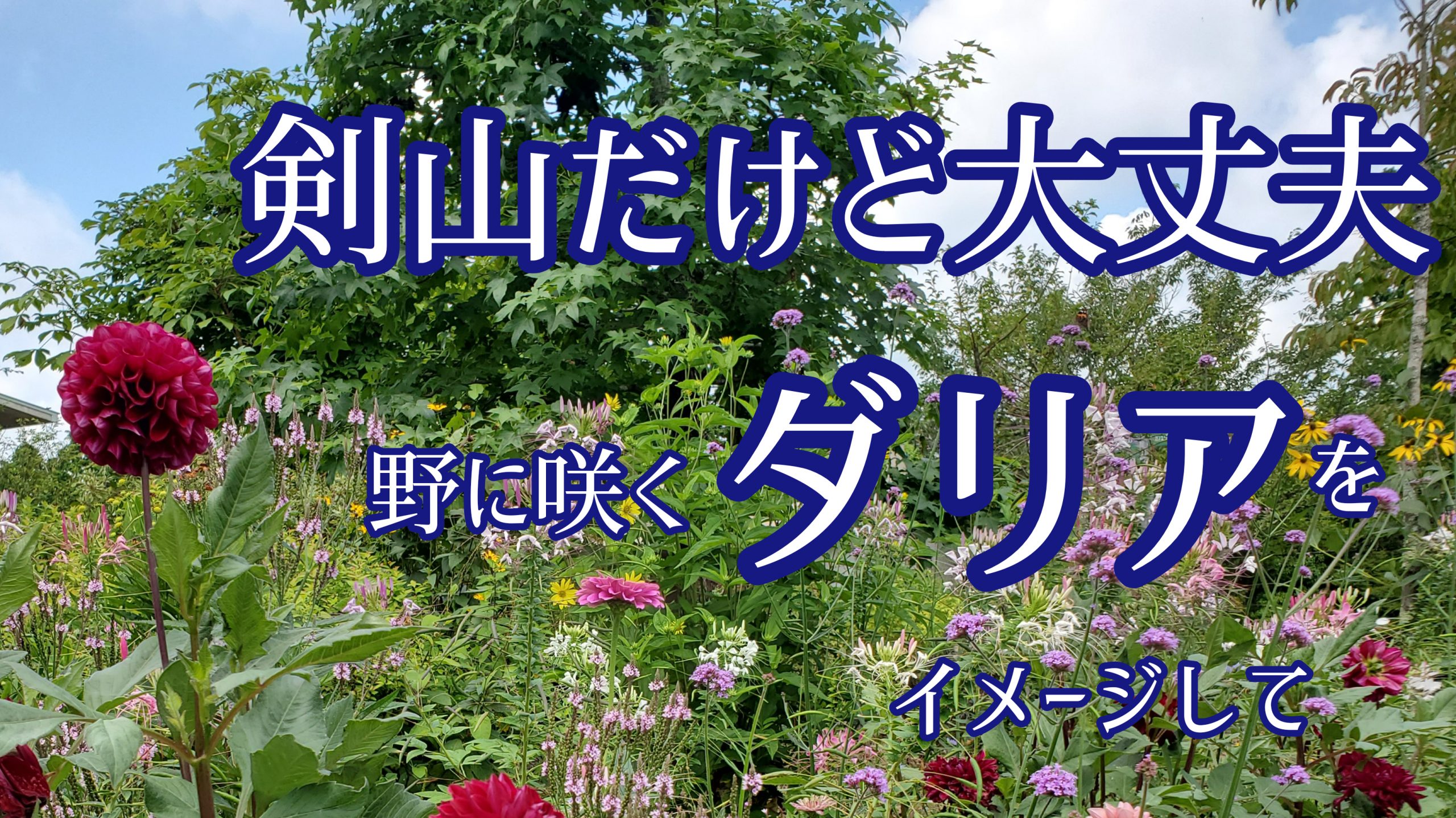 ダリアのいけばな　剣山と水盤をつかって