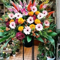 スタンド花　東京都千代田区　御祝の花